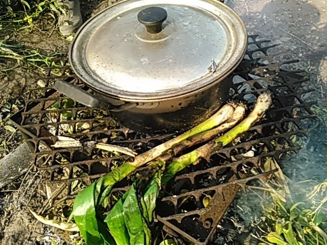 焚火で湯を沸かしネギを焼く