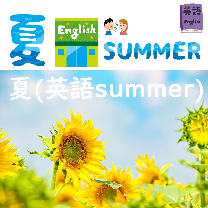 夏 英語